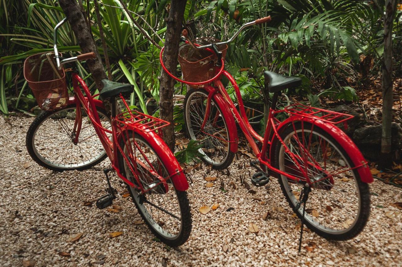 Hotel Casa Coyote Tulum Esterno foto